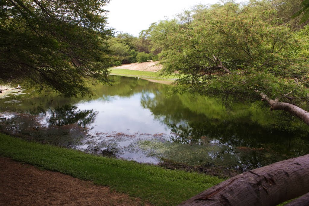 Laguna gallinazo en trujillo peru by renyanggong