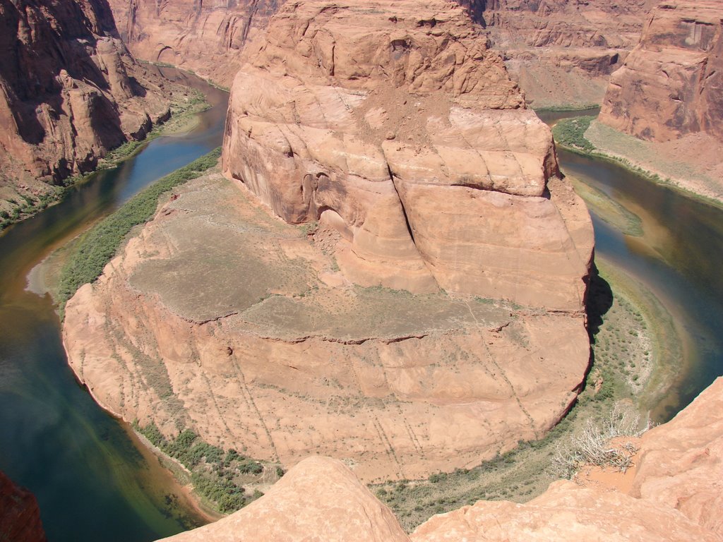 Shea Horse bend by harryelsucio