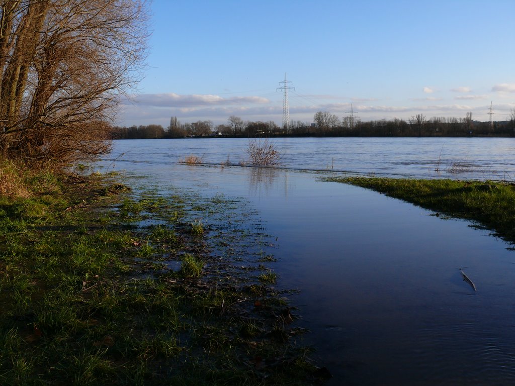 Schiersteiner Aue -Niederwallufer Bucht- -Hochwasser- by bartman 575 (bartman…