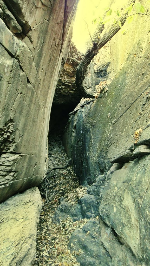 CUEVA DE TOSCANO, PUERTO DE LEON, MICHOACAN by sabadosanto