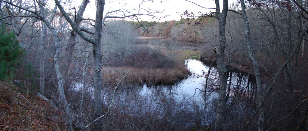 DSC06228sp Nickerson State Park 11/28/07 - N view by Volkan YUKSEL