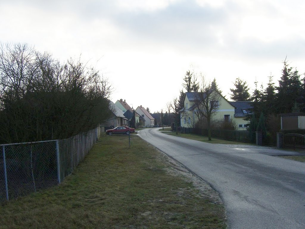 Caminchener Dorfstrasse by Wilfried Pagel