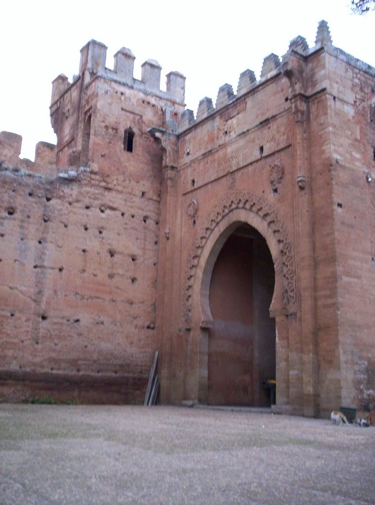 Detalle entrada a Chellah (Rabat) by x7y7