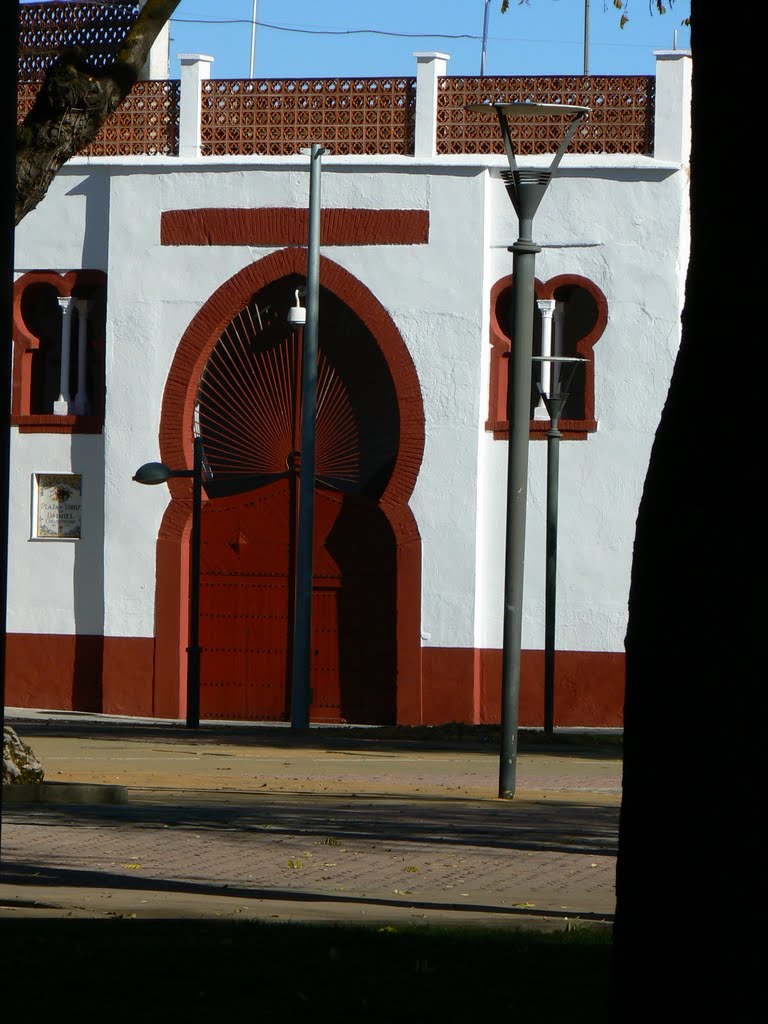 Plaza de Toros.- Daimiel.- La Mancha.- España by luisde