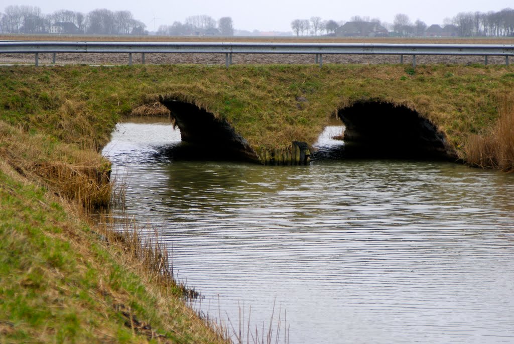 Usquert, Middendijk - Zijlweg, Duiker onder het Wegdek, Waddenzeeroute by Jan Lalkens