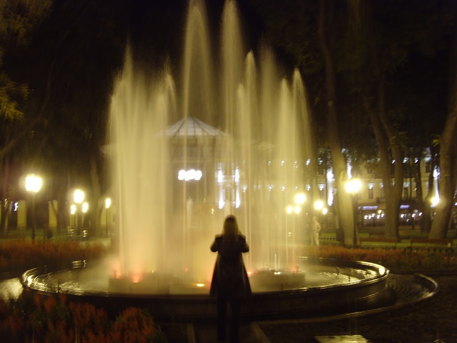 Municipal Garden - Fountain at night by Henrique Ferreira