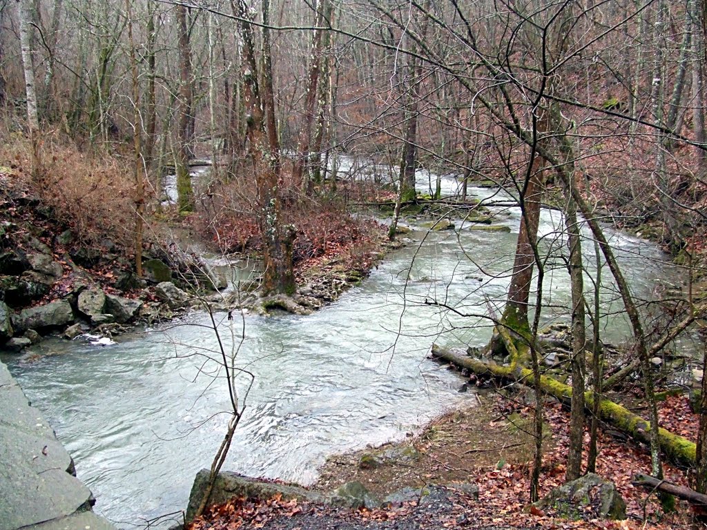 Milligan Creek at Herns Mill. by chris65