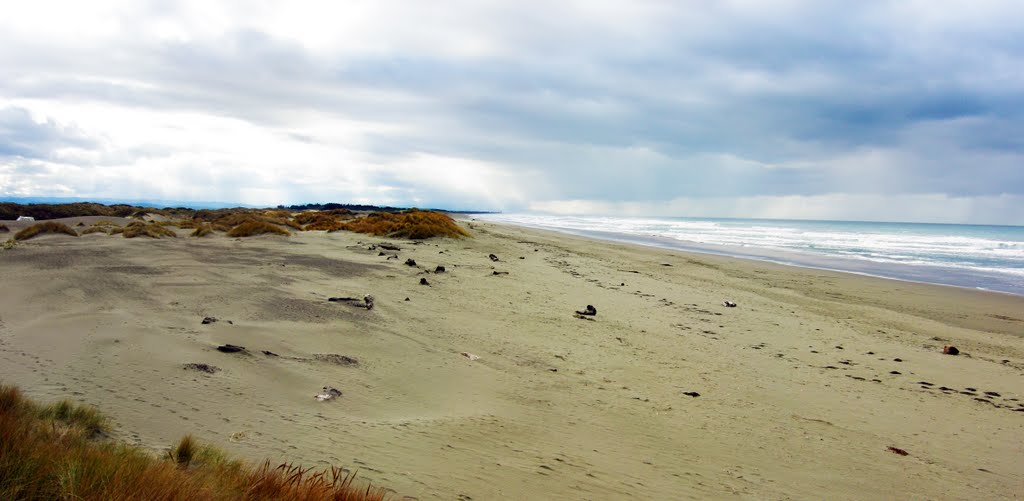 Mad River Beach looking South Panorama2 by Larry Butcher