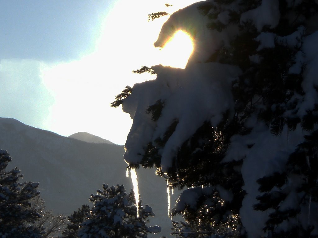 Icicle Tree by d_wart3