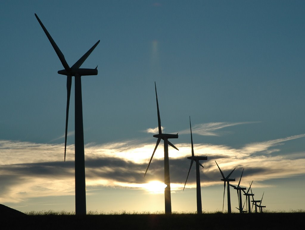 Wind Farm Silhouettes by Scott Fischer