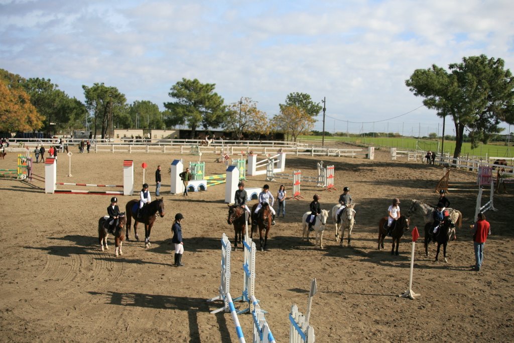 ECOLE D'ÉQUITATION HAUTE CORSE by ericdi