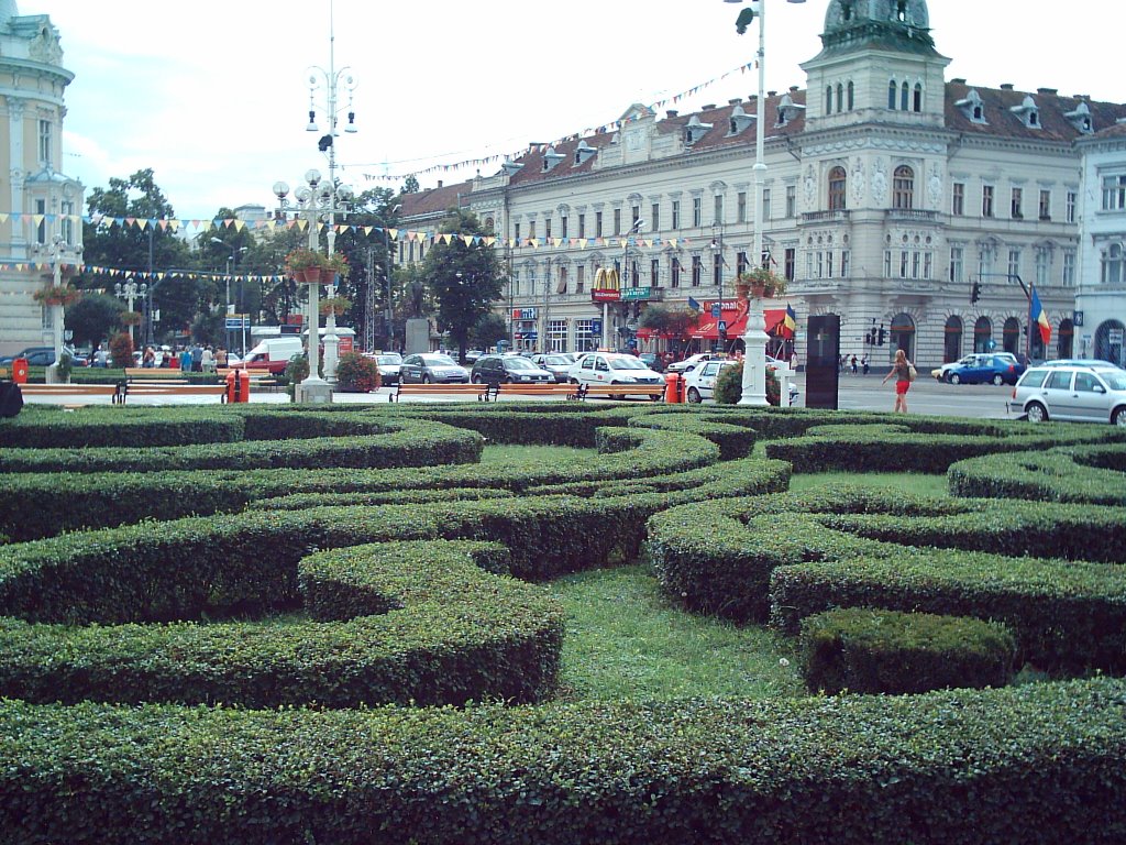 Downtown, Arad, Romania by alin.petcut