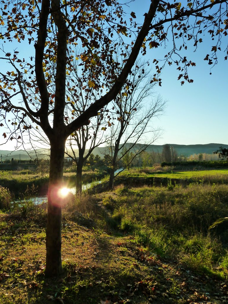 Parque Natural Turia by PROCOPIO