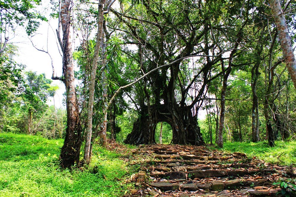 Hiếu lăng (Lăng vua Minh Mạng). Di tích Tả Tùng phòng by Trường Xuân