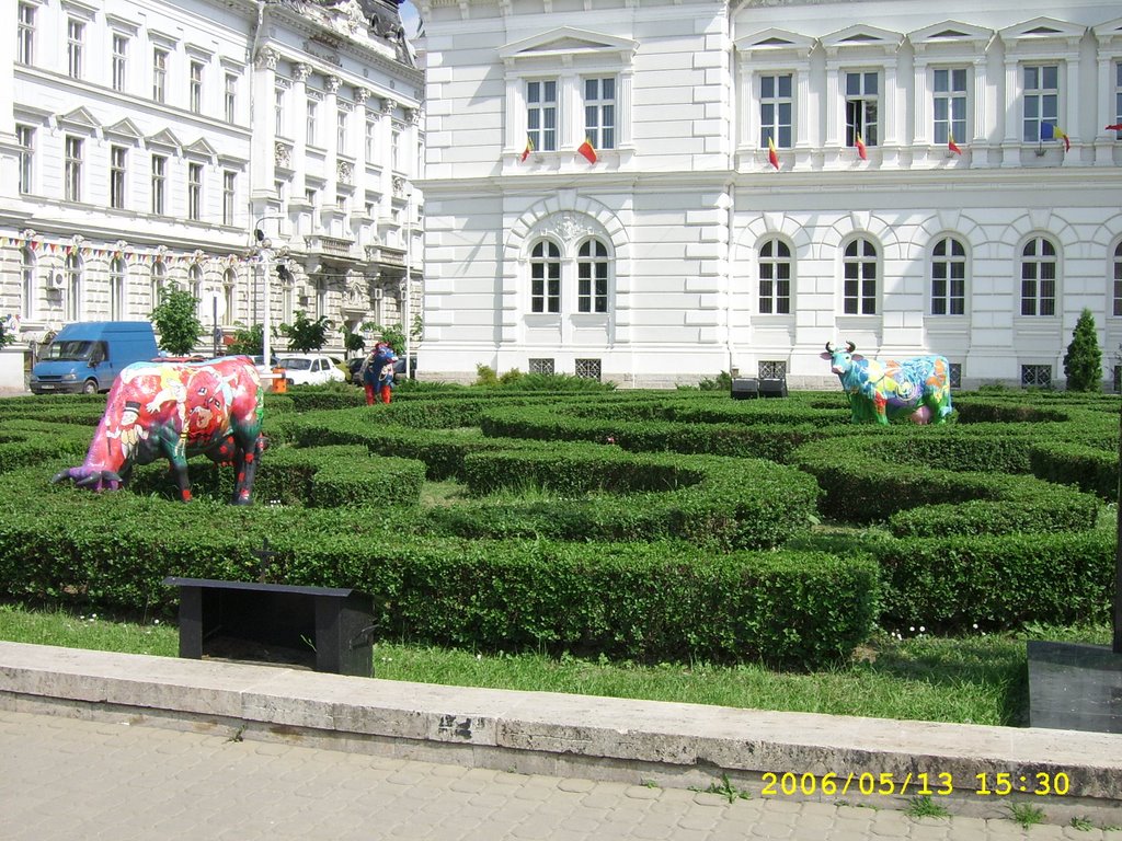 Downtown, Arad, Romania by alin.petcut