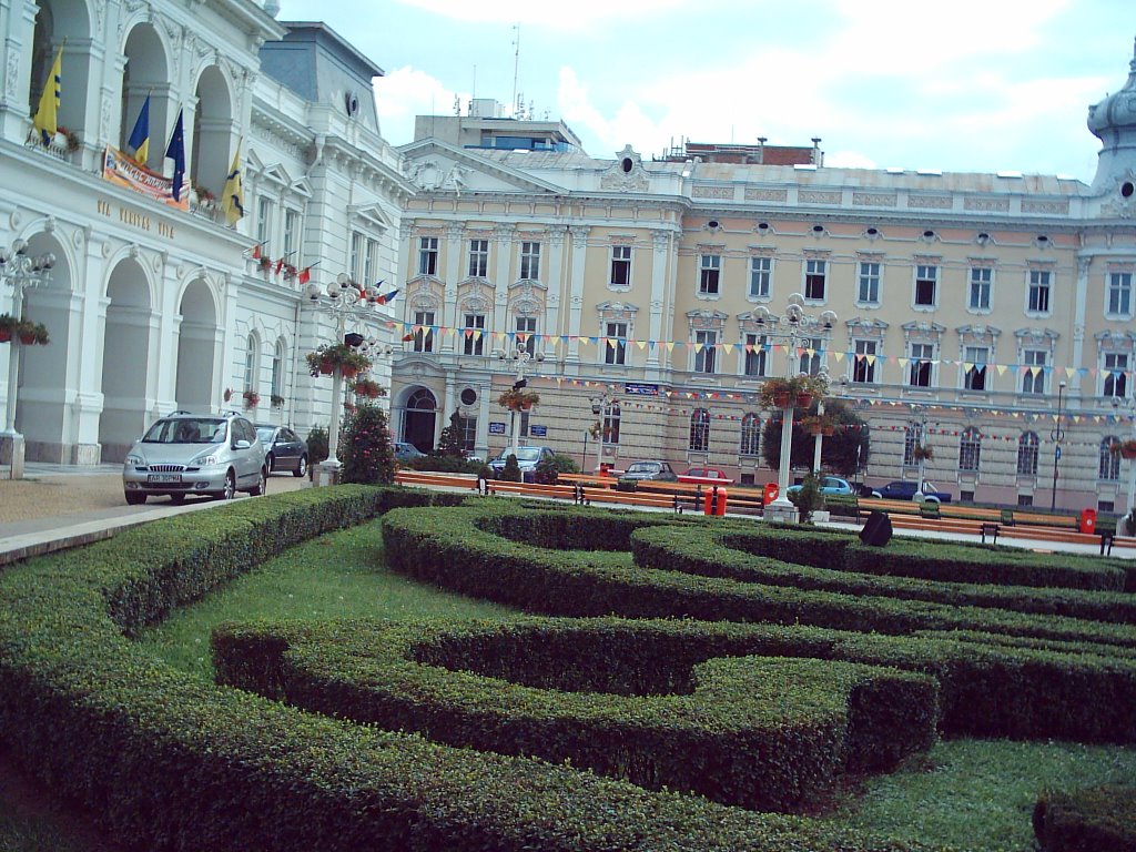 Downtown, Arad, Romania by alin.petcut