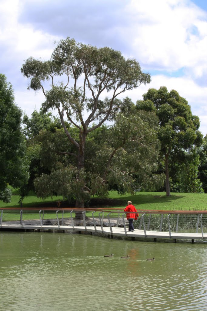 Dobson Park by Adalee