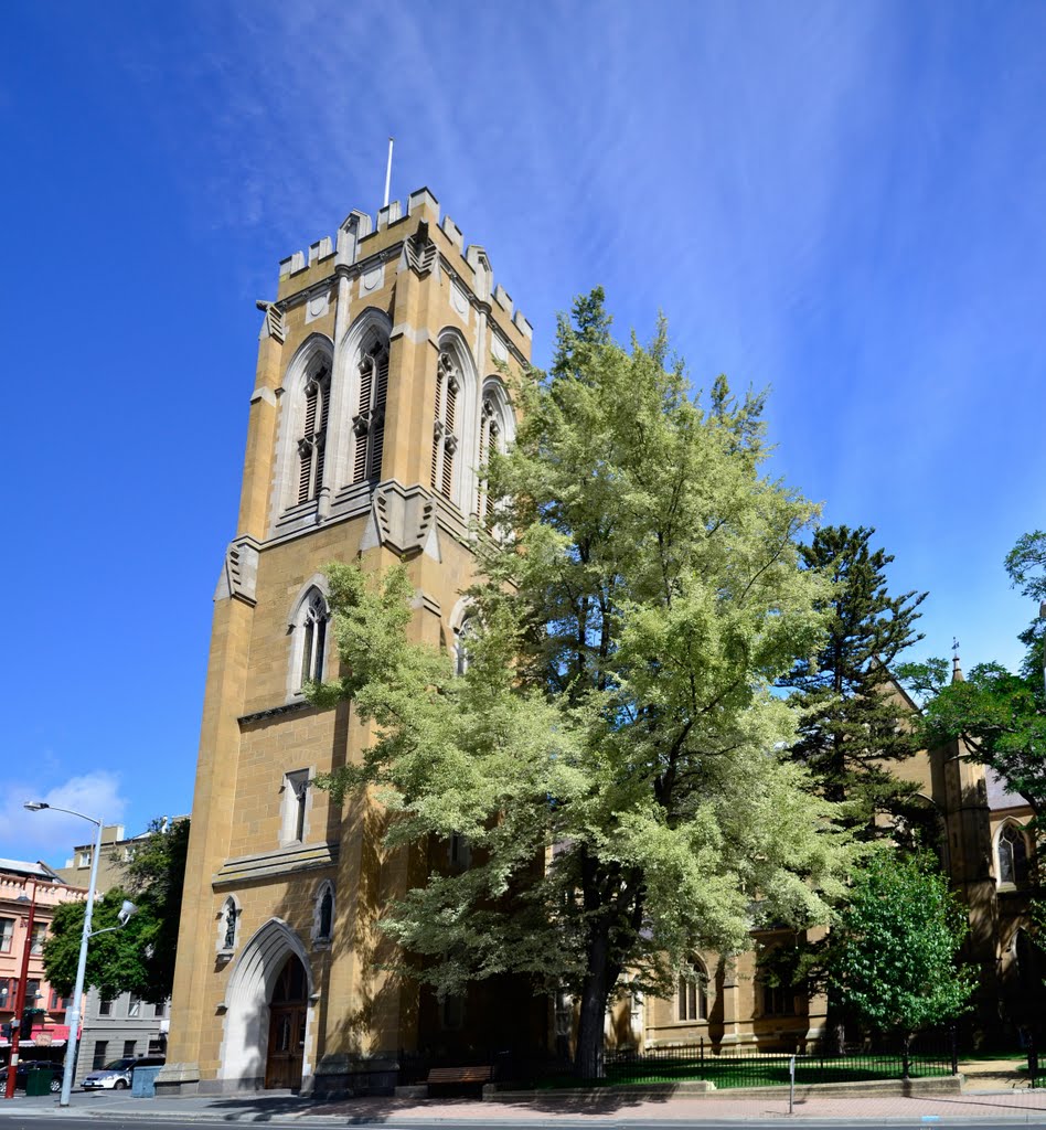 St. David's and Tree by CraigWS