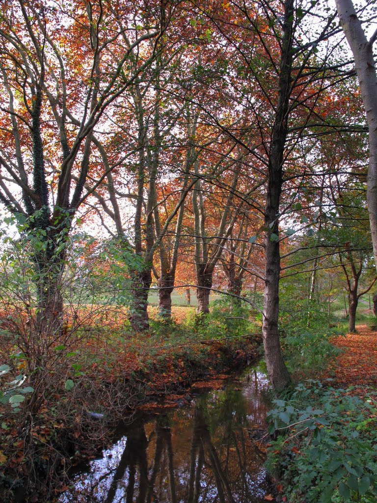 Promenade au bord de la Chézine by luminem