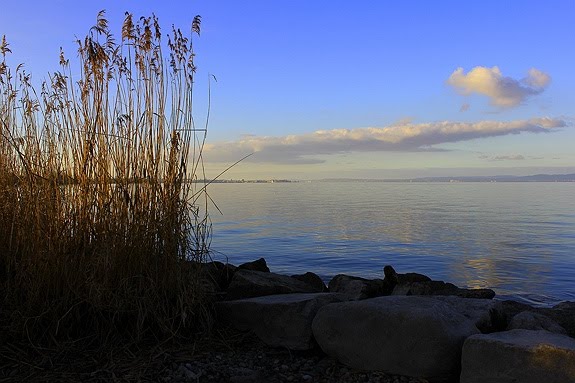 In Arbon am See by Costasicilya