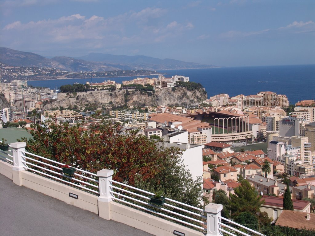 Monaco Stadium and Grimaldi by Eckelstone