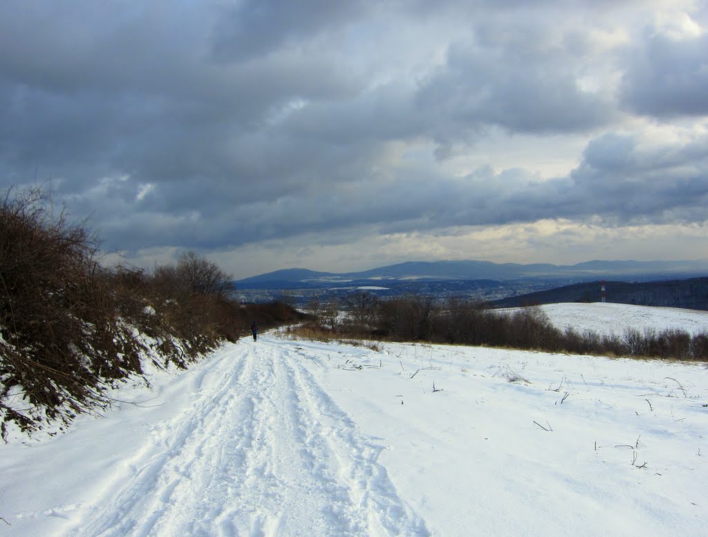 Prechádzka v Kavečanoch / Walk in Kavečany by Majka44