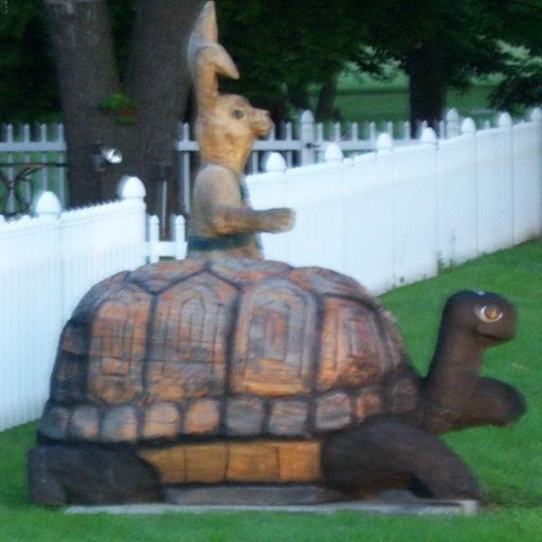 Tortoise and the hare wood sculpture by slvrserfr