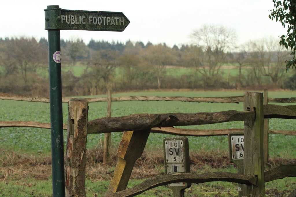 Where the path enters from the road to head off in the Rag Wood direction by SBower