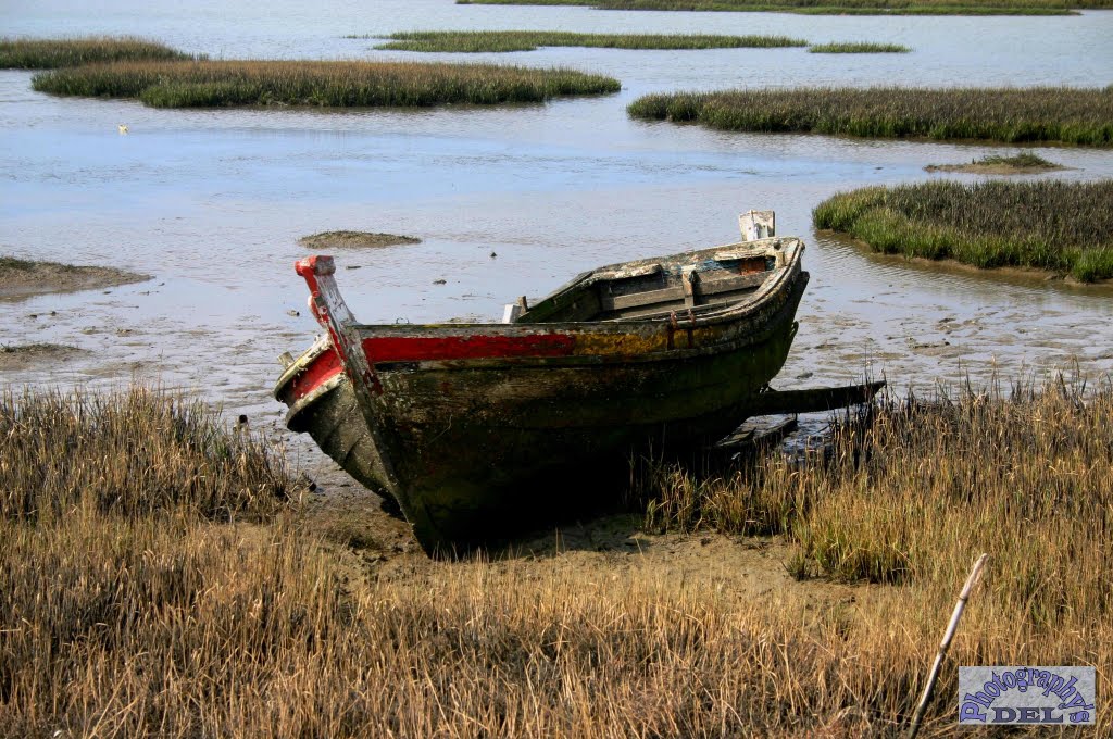 FARO city-Low Tide by Del Dias