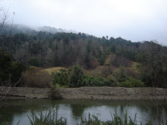 Valdivia, Los Ríos Region, Chile by agmcCHILE