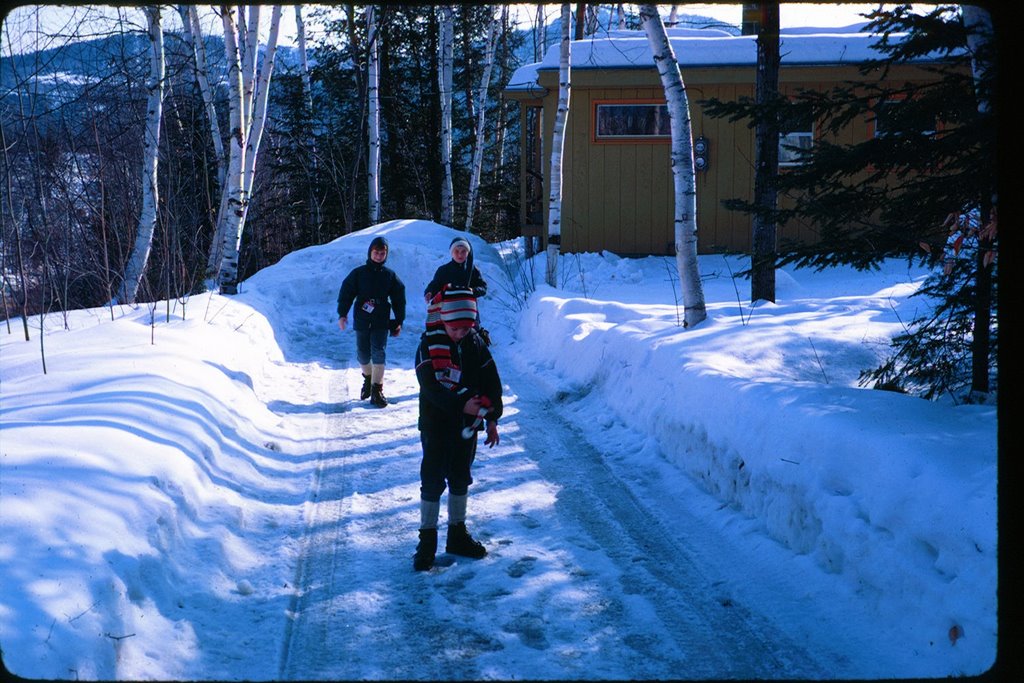 Cabin, 1968 by Alden Globe