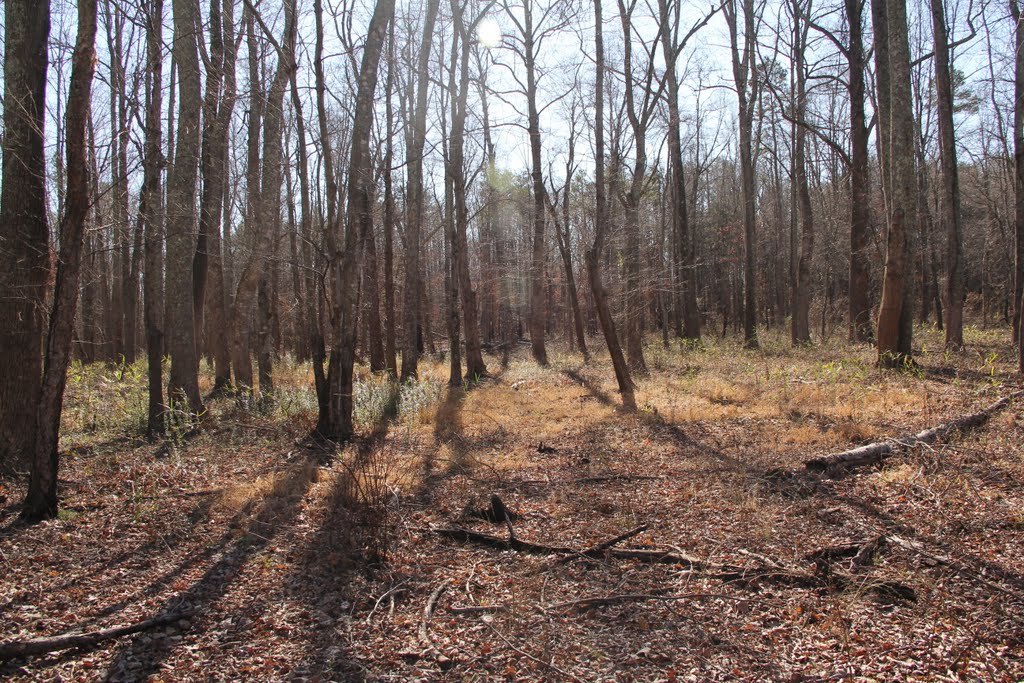 Cowpens Battlefield Trail (SC) by John MacKinnon