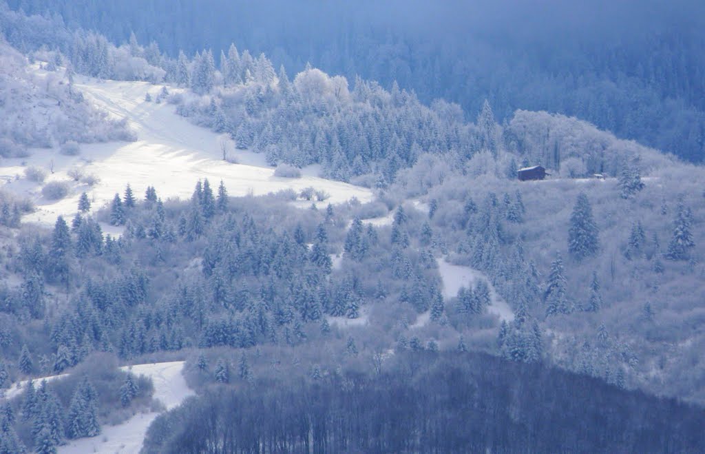 Cabana pe Bunloc,Piatra Mare. by Annelise L  Floroian