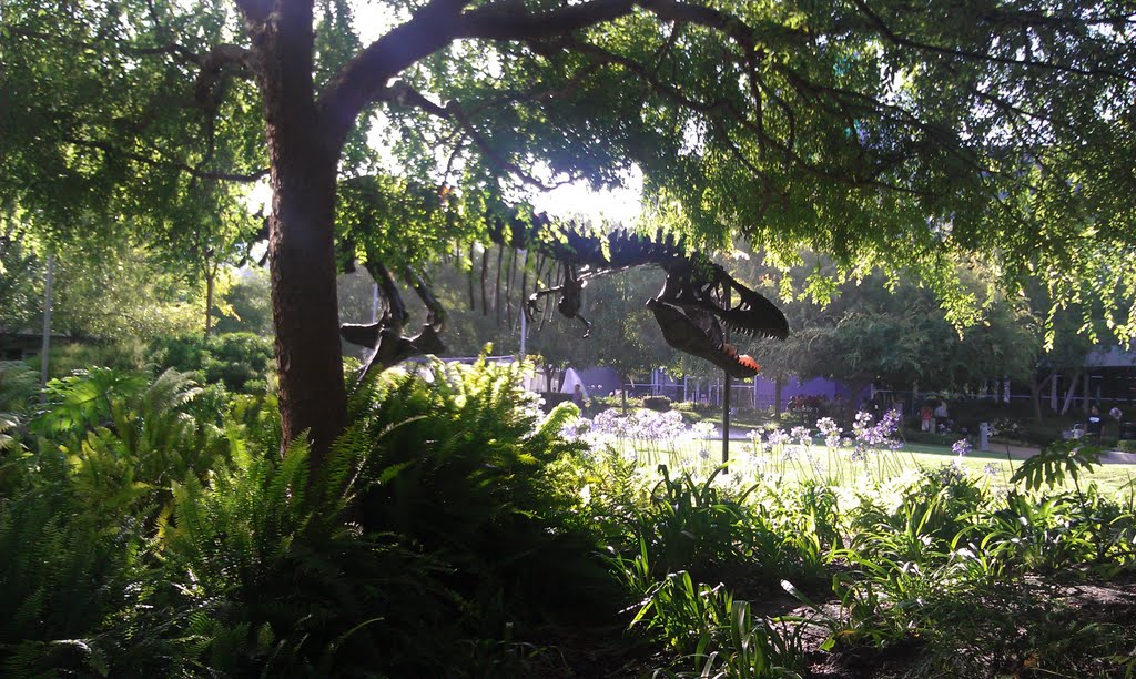 Tyrannosaurus Rex in Google Garden by CNR