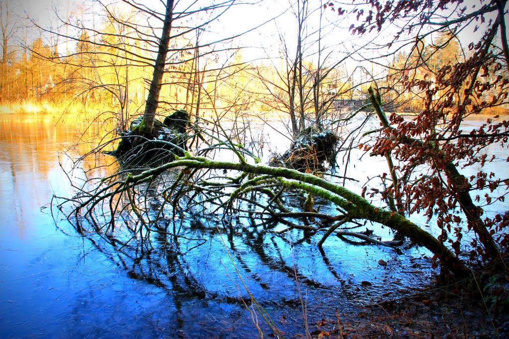 Januar am Schießstattweiher by mooshuf