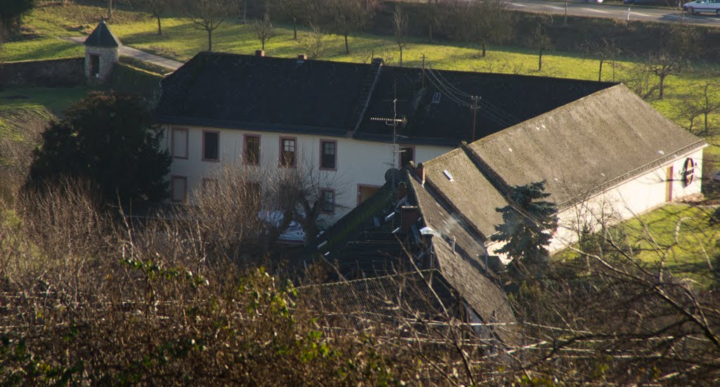 Winzergenossenschaft Frauenstein eG by © DerSIGGY