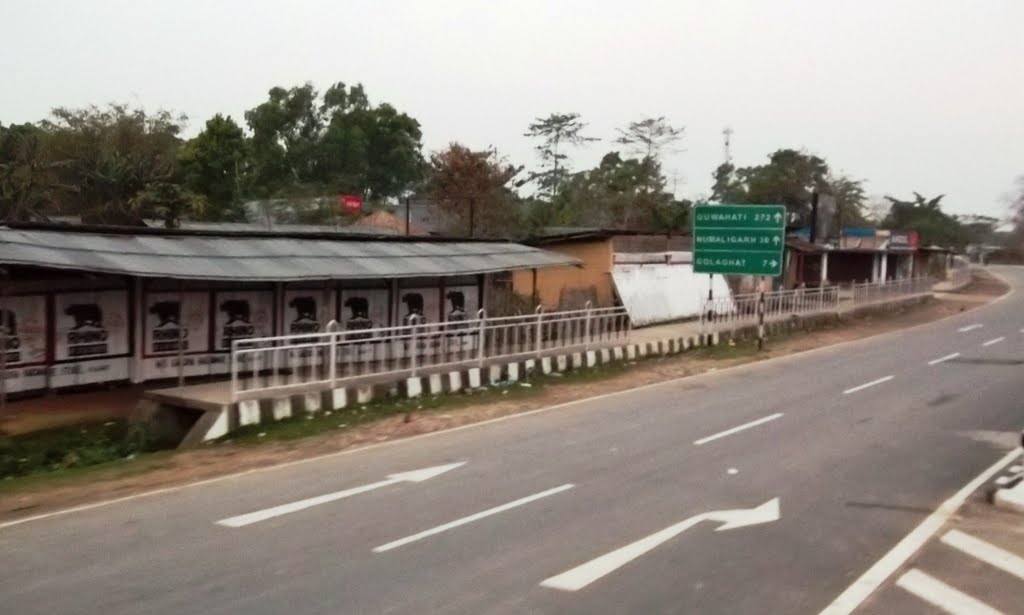 2551 Rangajaun at dawn --GOLAGHAT 7 km 05.21.15 by dhanasekarangm