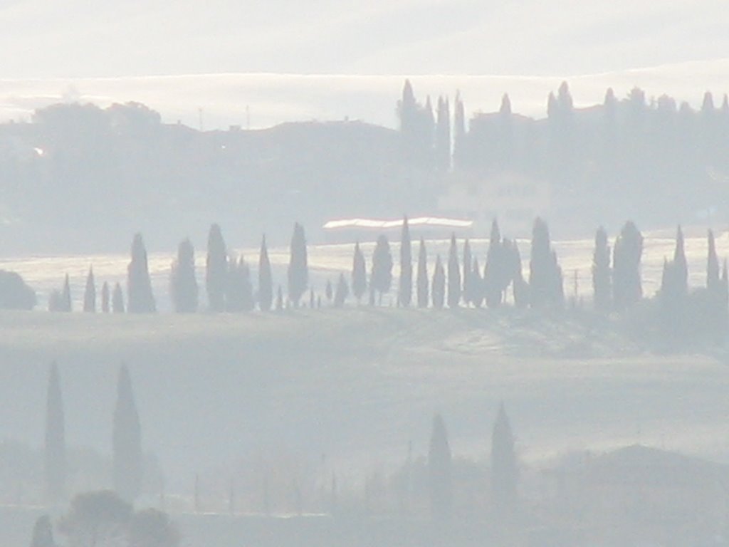 Da una finestra di Siena, al mattino presto by Paolo06