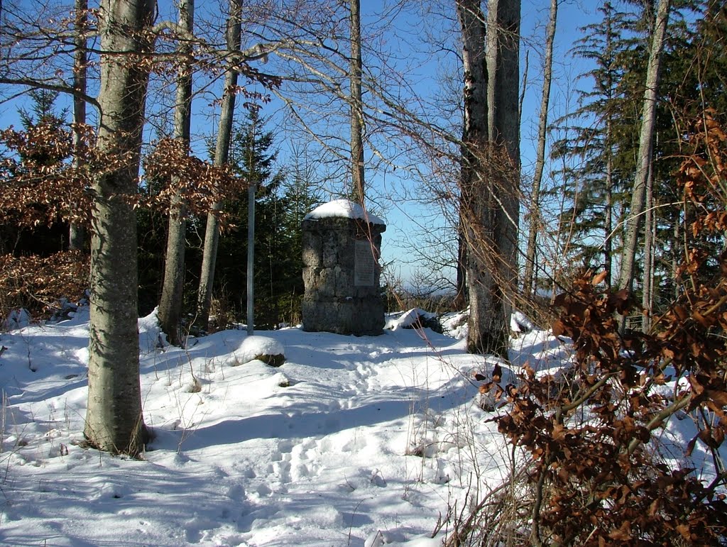 Denkmal aus dem Tuffstein der alten Burg by Richard Mayer