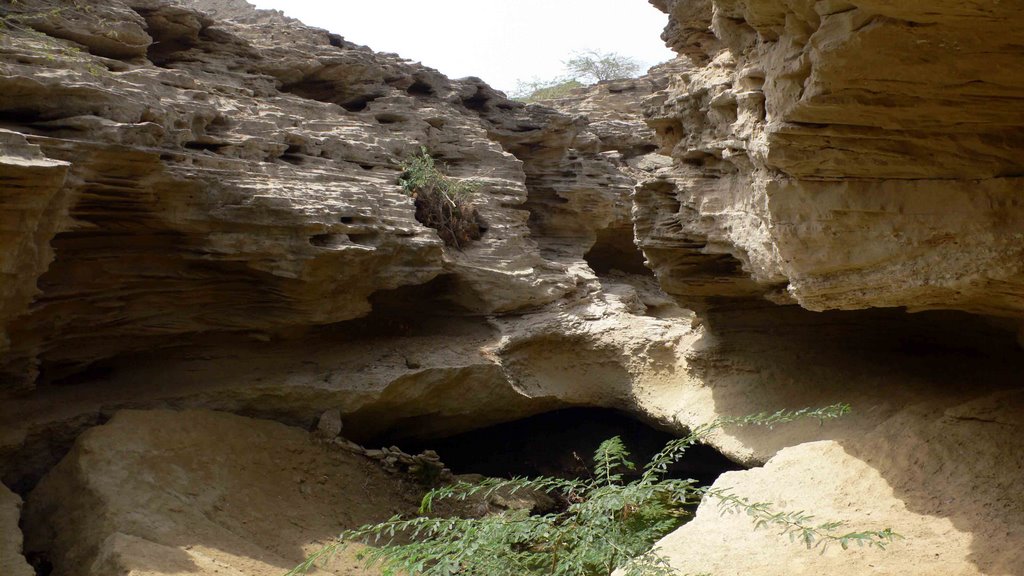 Cave Near TISS (Historical Village) by ALI FARNAM