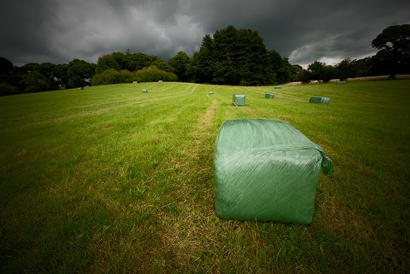 Storm Field by OliverWood