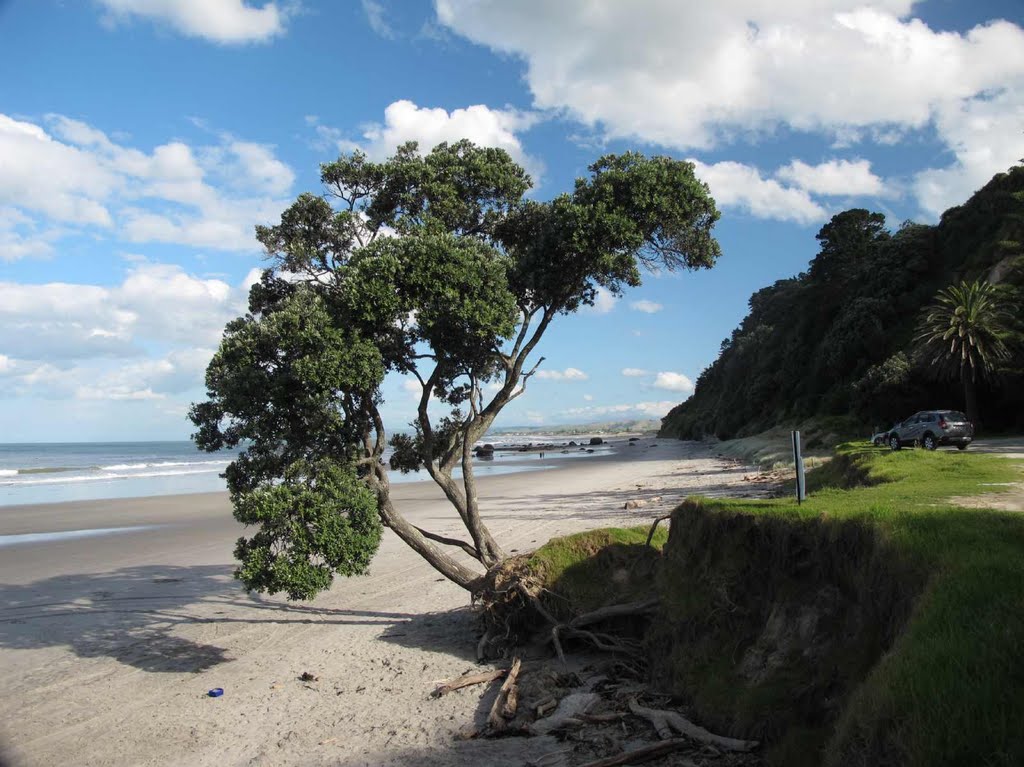 Newdicks Beach--$3 private access charge by NZ Frenzy Guidebook (North) www.NzFrenzy.com