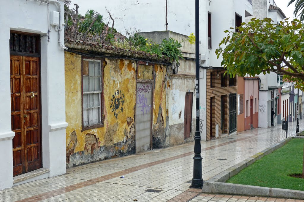 Little yellow house by sunmaya