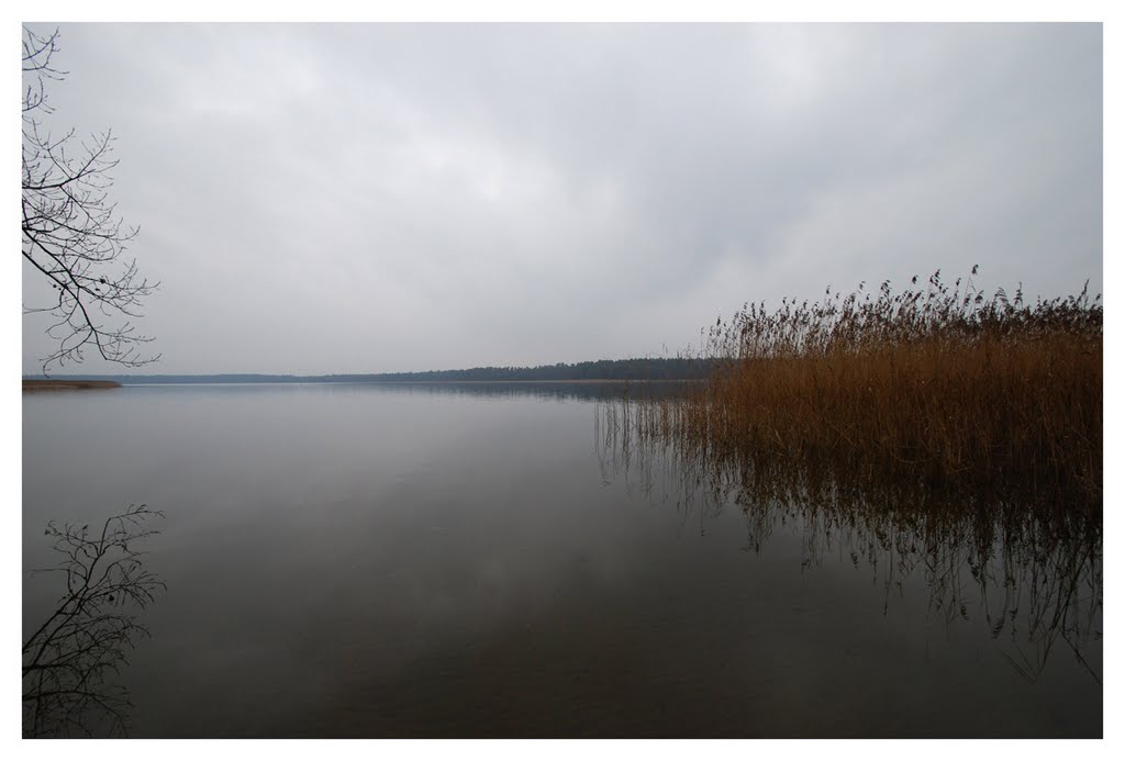 Necko Lake, January 2012 by Jerzy Szygiel