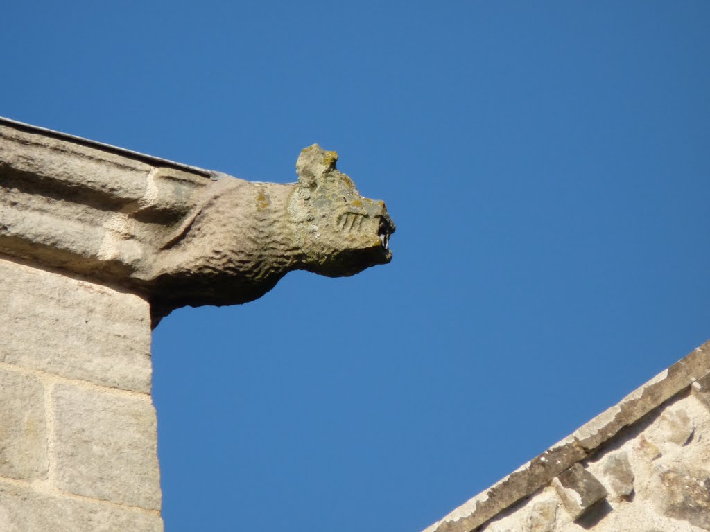 Gargouille_St Sernin du Plain by GERARD_D