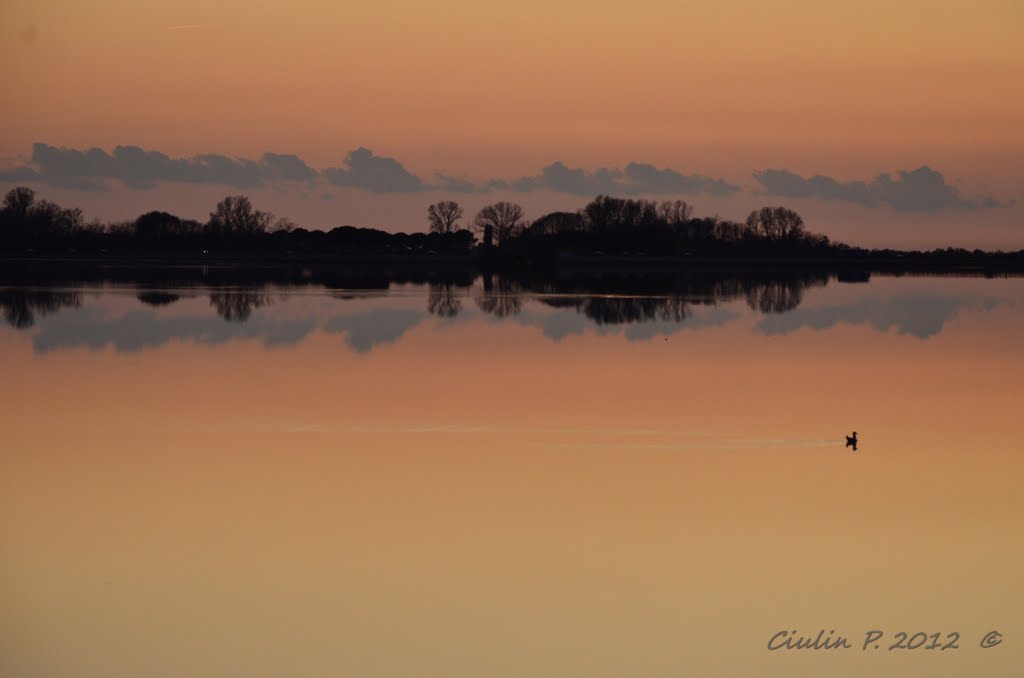 Sul pelo dell'acqua by ShoRRe