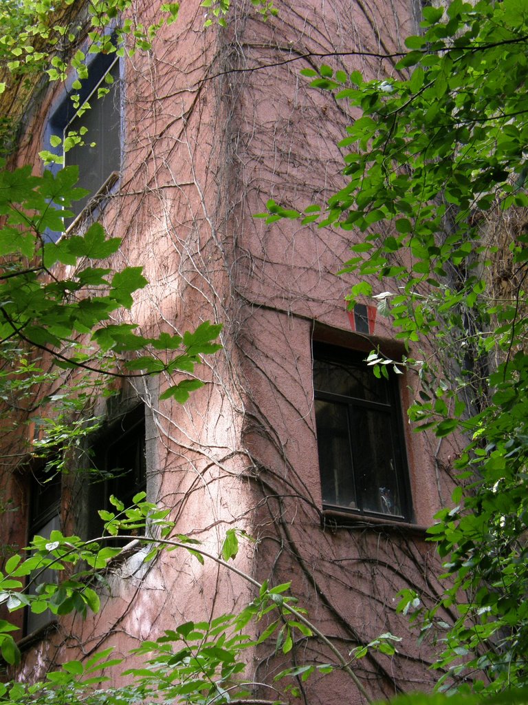 Vienne - Hundertwasserhaus - 2007 by Jean-Luc Pierrat