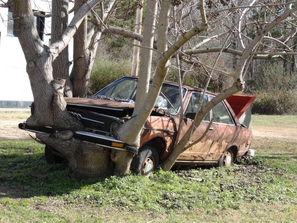 Greenest Car Ever by MikeBike