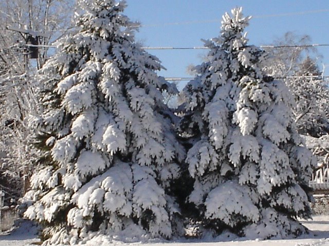 Caledonia, WI, USA by bob-b-o