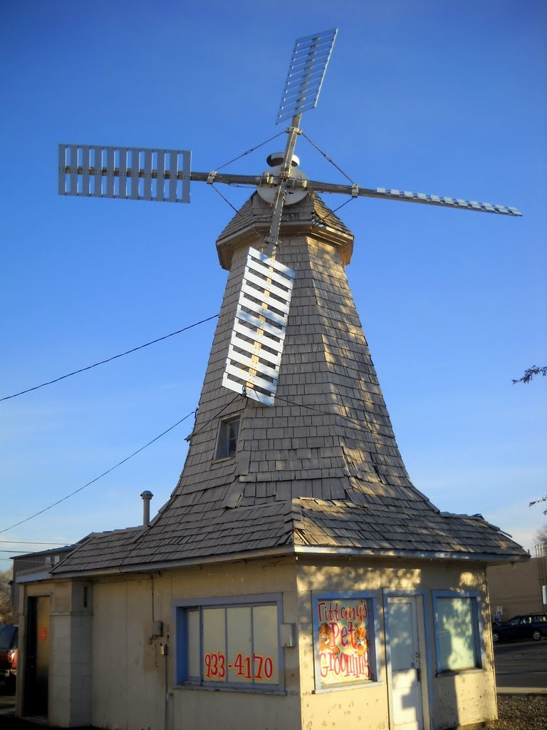 Wind mill, Main St, Ellensburg, WA by Rock N Roll Doctor